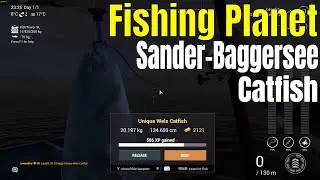 Fishing Planet | Trophy catfish: Leeches, Sander Baggersee