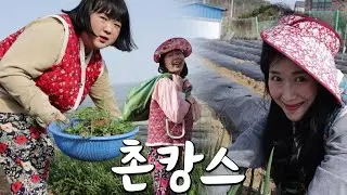 30대 여자셋이 시골 가면 생기는 일