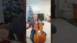 Greensleeves for cello solo #music #musica #cello #cellomusic #cmisschool #maccarronecello #baroque