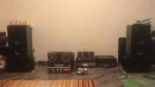 Rosa King funks over Braun L810