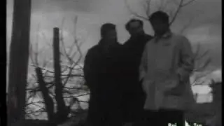 Quà si chiacchiera - I Basilischi