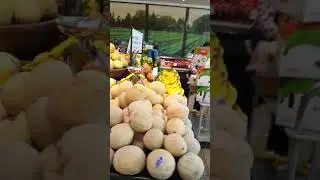 Produce at PCC Natural Markets Part 2