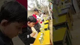 Glass pyramid race class -i