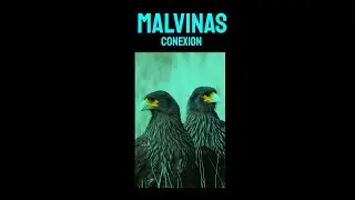 Malvinas conexión- Short version