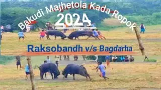 Kada Ropok Bakudi Manjhitola Maidan // Raksobandh v/s Bagdarha Kada Ropok 2024