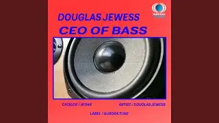 CEO Of Bass