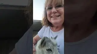 Rolling M Ranch