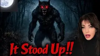Dogman Encounters: True Sightings & Real Fear 🐺⚠️