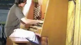 Camille Saint-Saens - Danse Macabre - Raúl Prieto Ramírez