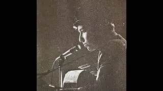 Bob Dylan LEOPARD- skin Pill- box Hat Take 1