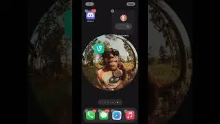 VINE App in 2025