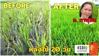 รวมรีวิว 4SOIL #สารเสริมประสิทธิภาพสำหรับดิน สูตรเข้มข้น ช่วยลดปัญหาต่างๆของดิน