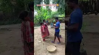 save tree save life #mini vlog