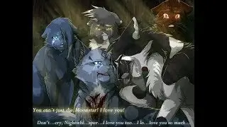 Warrior Cats 50 INTERESSANTE Fakten