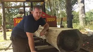 First cut in new sawmill building, Rainbow Poplar!