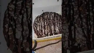waffle lovers#daily #food