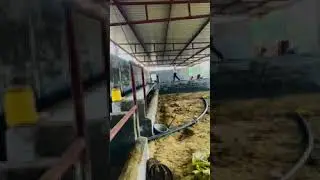 गांव देवासर मै गाऊं साला बना रहे हैं
