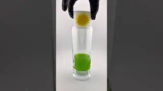 Kurdistan flag drink