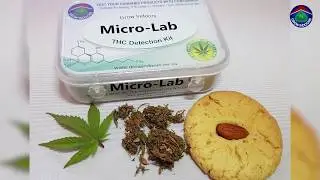 Grow Indoors THC Test Kit