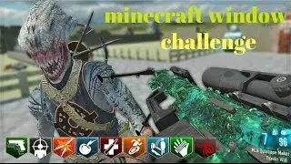 MINECRAFT ONE WINDOW CHALLENGE | BO3 CUSTOM MAP CLEARED