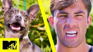 Celebs Vs Pets: Jack Fincham vs. Snoopy