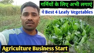 Agriculture Business Start l Best Leafy Vegetables for Summer Profit | January&ndash;February Farming 
