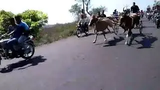 Bamani