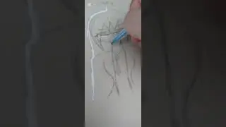 Dibujando a Ema para una animaci&oacute;🥴