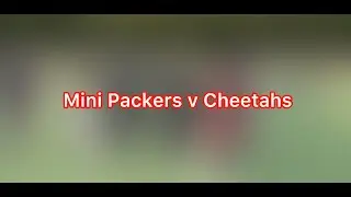 Next Level Sports | Flag Football | Mini Packers v Cheetahs | Oct 12