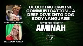 DECODING CANINE COMMUNICATION - A DEEP DIVE INTO DOG BODY LANGUAGE