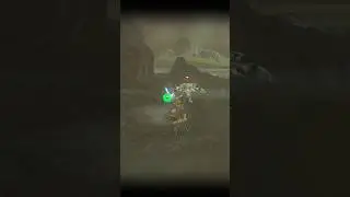 #Shorts - The Legend of Zelda: Breath of the Wild - Stunlocked the Silver Bokoblin!