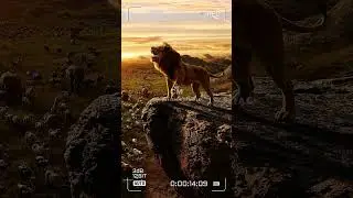 Lion King motivational speech #lionking #youtubeshorts #motivation #king #lion