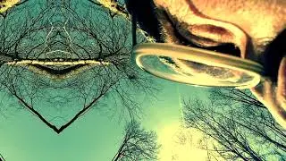 RD3D - In Every Bone | 1998