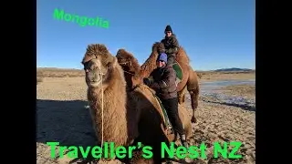 OVERLANDING MONGOLIA: 4WD ADVENTURE IN WINTER ERDENE ZUU MONASTERY S1E12| TRAVELLER'S NEST OVERLAND