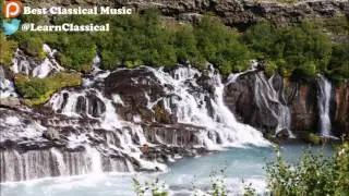 The Swan Lake, part 5 | Pyotr Il'yich Tchaikovsky | July 14 2017