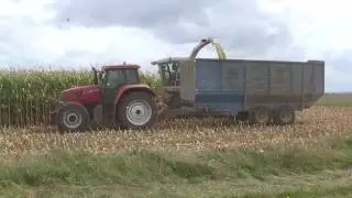 Andurt Maize Part 2