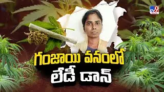 గంజాయి వనం లో లేడీ డాన్ గా ఎదిగిన రేణుక..! - TV9