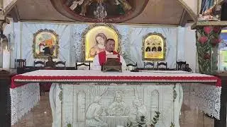 Santa Missa Santo Estêvão, protomártir - Festa | Sexta-feira Pe. Anthony