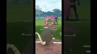 Nightmare Cup Practice
