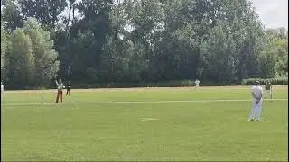 Dunamenti Kenguruk / Danubian Kangaroos - Hungarian Cricket League 2024