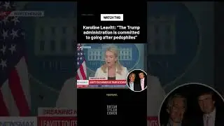 Каролина Ливит: &laquo;Администрация Трампа полна решимости преследовать педофилов&raquo;.