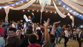 La víbora de la mar Alto del ojite Tempoal veracruz