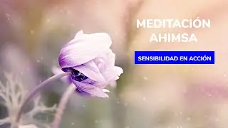 🧘‍♀️MEDITACIÓN AHIMSA | SENSIBILIDAD EN ACCIÓN (15 min) #YOMEQUEDOENCASA #YOMEQUEDOENCASAYOGA