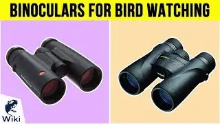 10 Best Binoculars For Bird Watching 2019