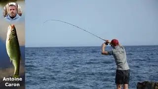 Guide Ultime : Choisir le Mat&eacute;riel Parfait pour P&ecirc;cher le Sar au Leurre Dur