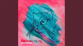 Electronic Racing