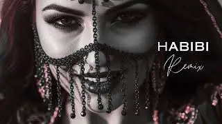 Habibi Arabic Remix 💥 Middle East Party Vibes | Nonstop Dance Mix