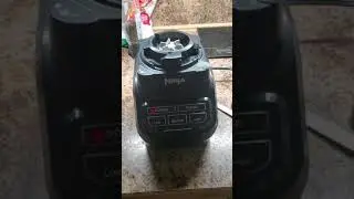 Ninja blender blinking power light