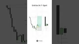 Использование T-Spot для поиска входов в фрактальной модели