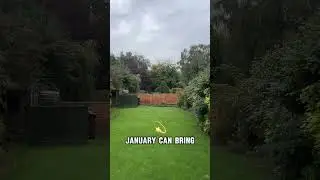 January Lawn Care Tip Number 13